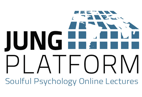 Jung Platform Case Study